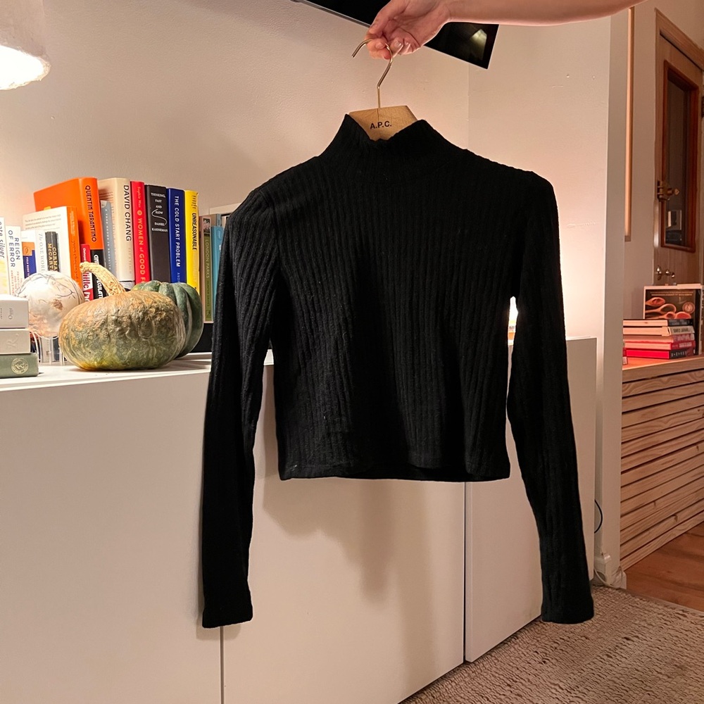Aritzia Wilfred Free Cropped Turtleneck Knit